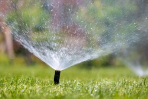 Sprinkler sprays water across yard. Sprinkler head is connected to a sprinkler line.